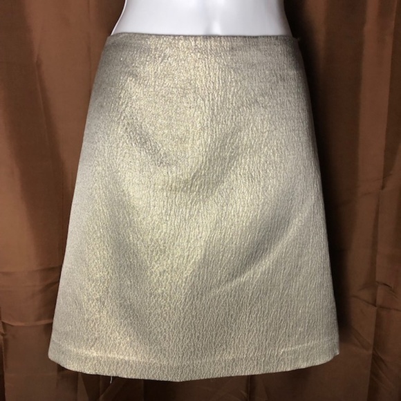 Ann Taylor Dresses & Skirts - Ann Taylor Silver Metallic Pencil Skirt Sz 12 001